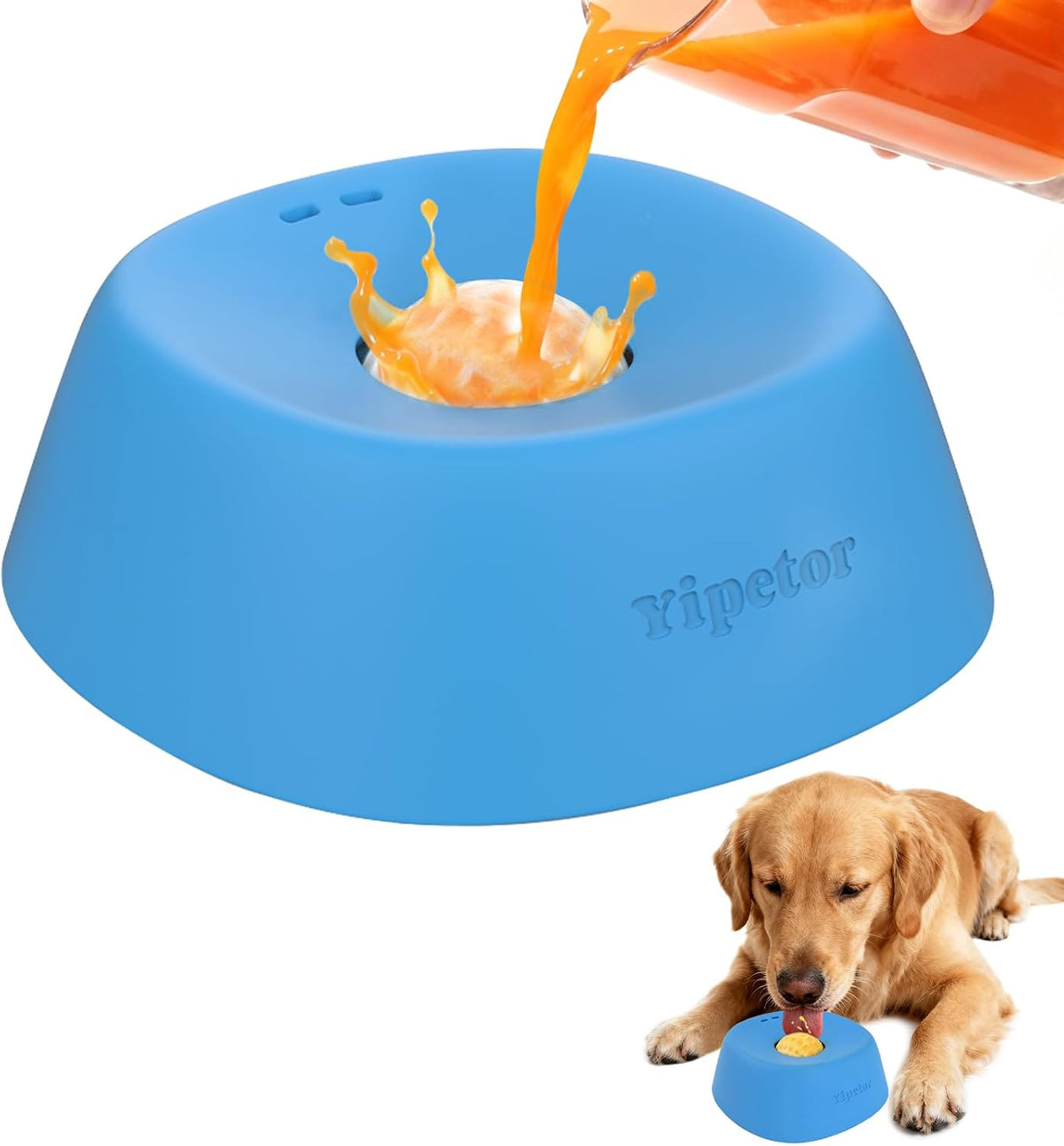 SlowFeed Dog Bowl